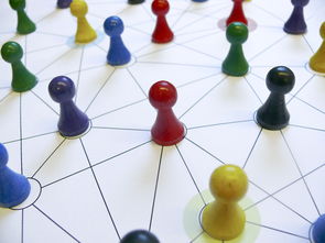 米兰全站app登录app-国足换人策略与比分变化关系，国足换帅一说的准确性到目前依然无从核实